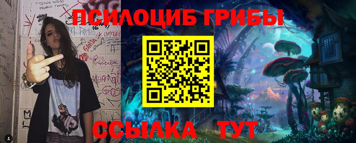 Галлюциногенные грибы ЛСД  Вход с VPN  Галлюциногенные грибы Psilocybe  Сунжа 