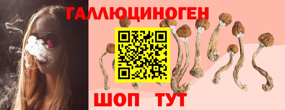 Псилоцибиновые грибы MAGIC MUSHROOMS Сунжа